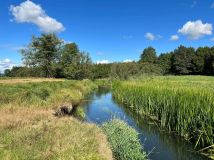 Działka rolna Trzebielino, Trzebielino. Zdjęcie 2