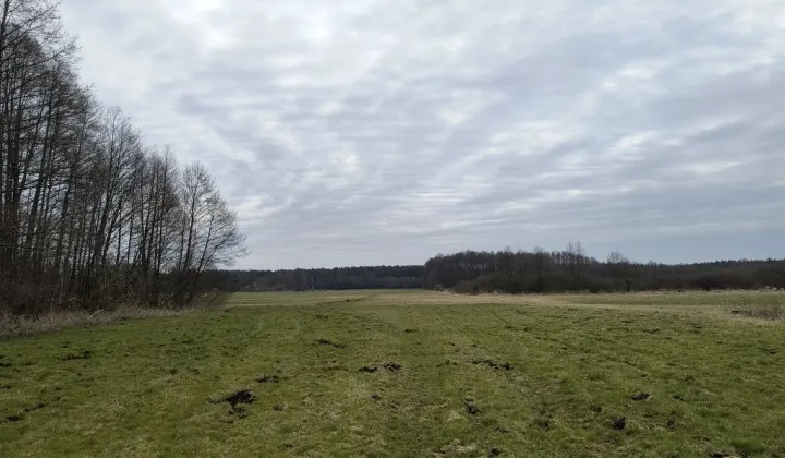 Działka rolna Łęczno