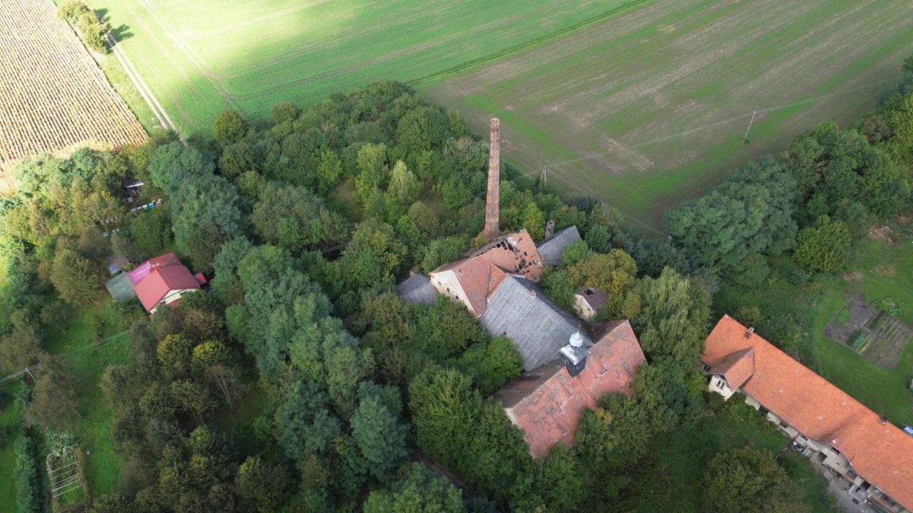 Nieruchomość komercyjna Gręboszów Stary Gręboszów. Zdjęcie 3