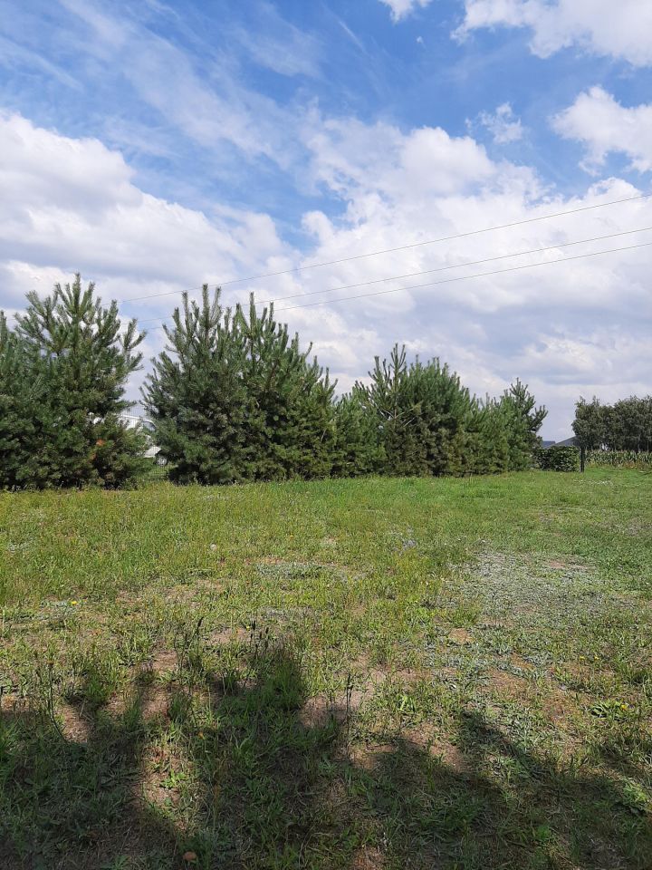 dom wolnostojący, 4 pokoje Budzyno-Bolki. Zdjęcie 7