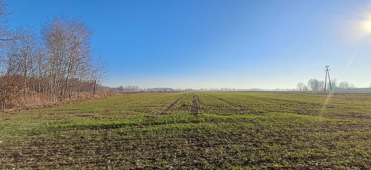 Działka budowlana Samoklęski. Zdjęcie 4