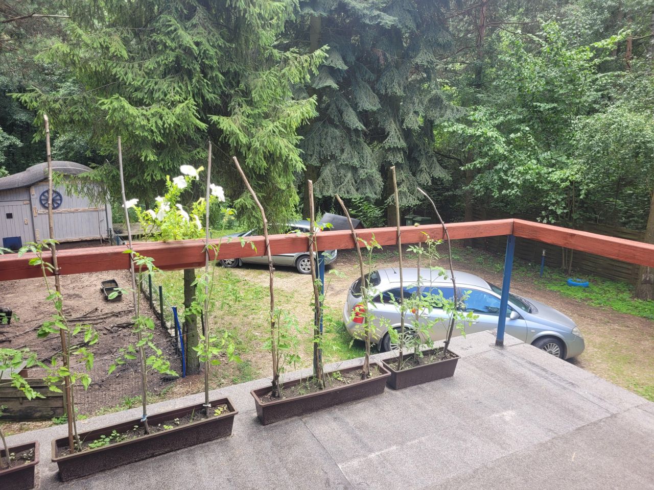 Działka rekreacyjna Czekanka. Zdjęcie 22