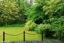 dom wolnostojący, 3 pokoje Jastrzębie-Zdrój Ruptawa, ul. Przemysłowa. Zdjęcie 3