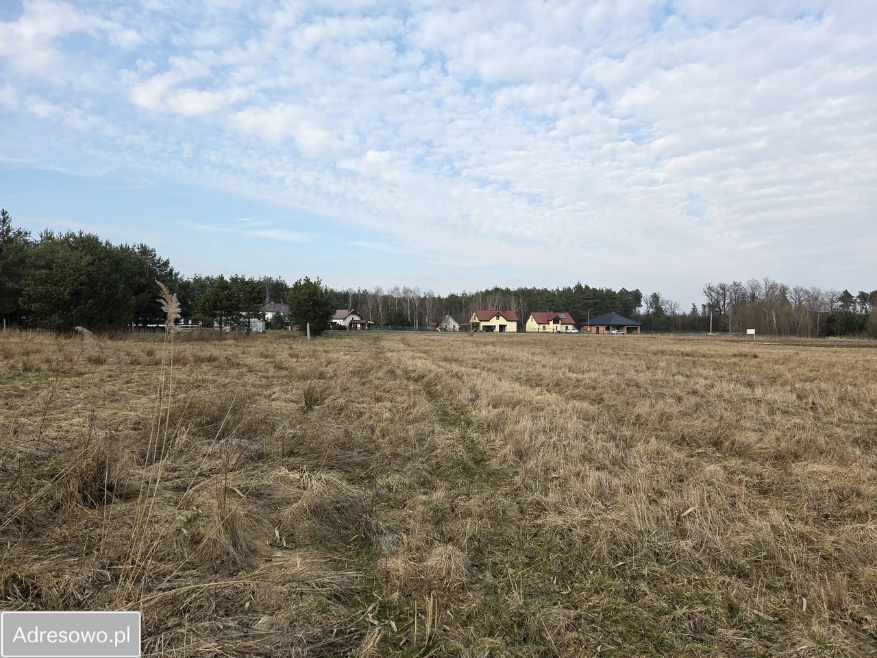 Działka rekreacyjna Komorów. Zdjęcie 2