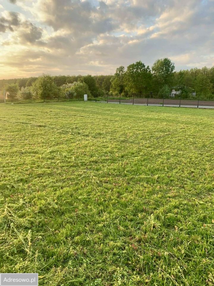Działka siedliskowa Krzeptów, ul. Gajowa. Zdjęcie 6