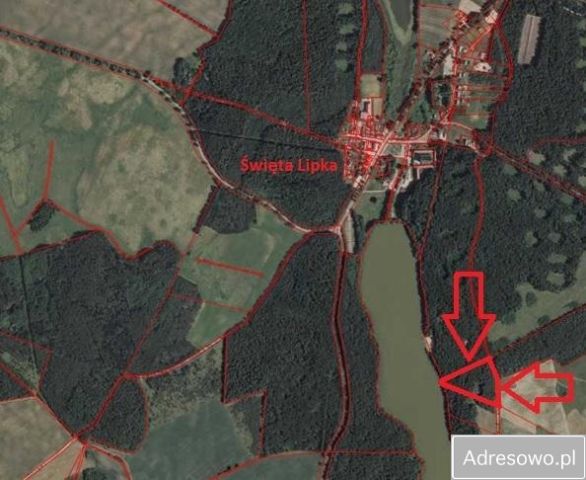 Działka leśna Święta Lipka. Zdjęcie 1