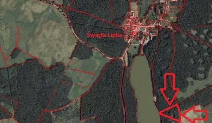 Działka leśna Święta Lipka