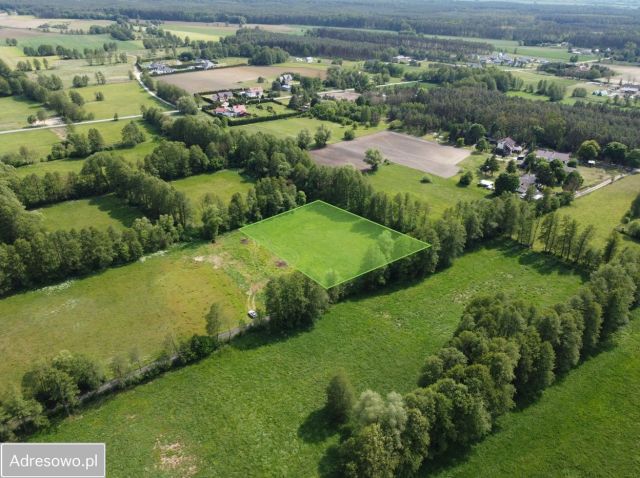 Działka inwestycyjna Zarośle Cienkie. Zdjęcie 1