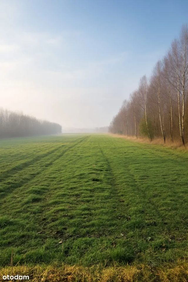 Działka budowlana Kliszów. Zdjęcie 2