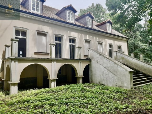 Nieruchomość komercyjna Bojanowo. Zdjęcie 6