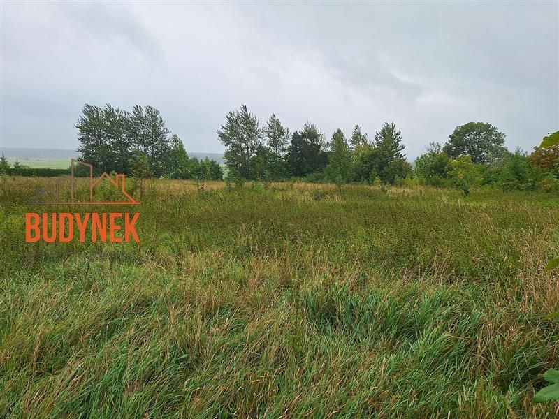 dom wolnostojący, 8 pokoi Kopnica. Zdjęcie 5