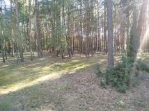 Działka inna Piaski. Zdjęcie 3