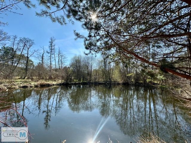 Działka rekreacyjna Daleszyce. Zdjęcie 7