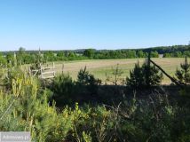 Działka budowlana Nowe Laski. Zdjęcie 2