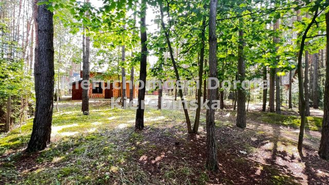 dom wolnostojący, 2 pokoje Fryszerka. Zdjęcie 22