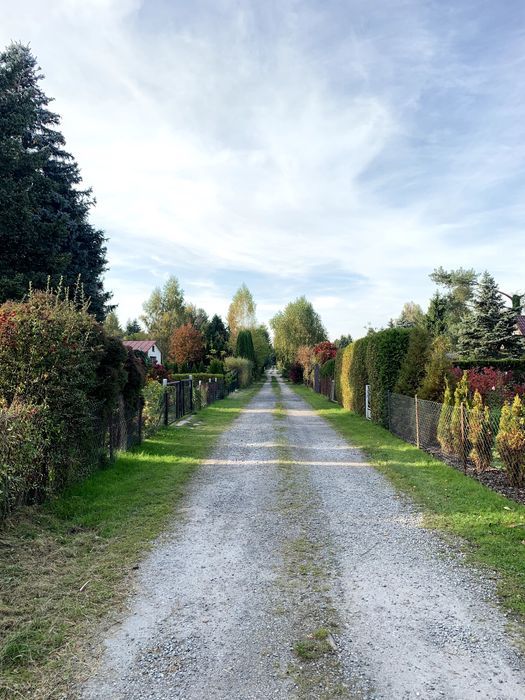 Działka rod Szczaki. Zdjęcie 4