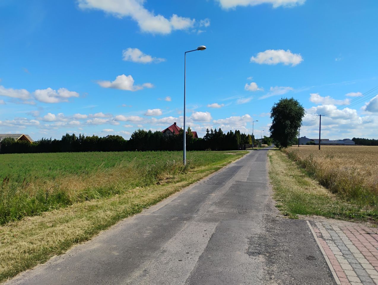 Działka budowlana Ostrowo. Zdjęcie 4