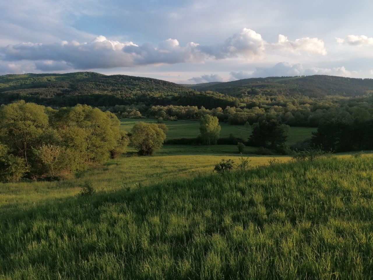 Działka rekreacyjna Rybotycze. Zdjęcie 35