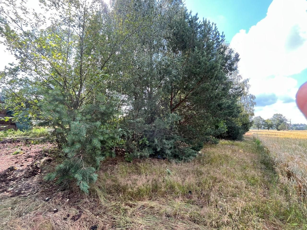 Działka rolno-budowlana Surmacze. Zdjęcie 8