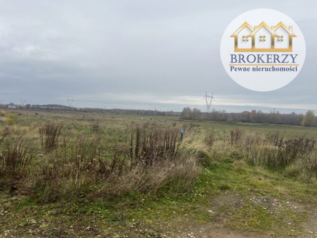 Działka rolna Cewlino. Zdjęcie 2