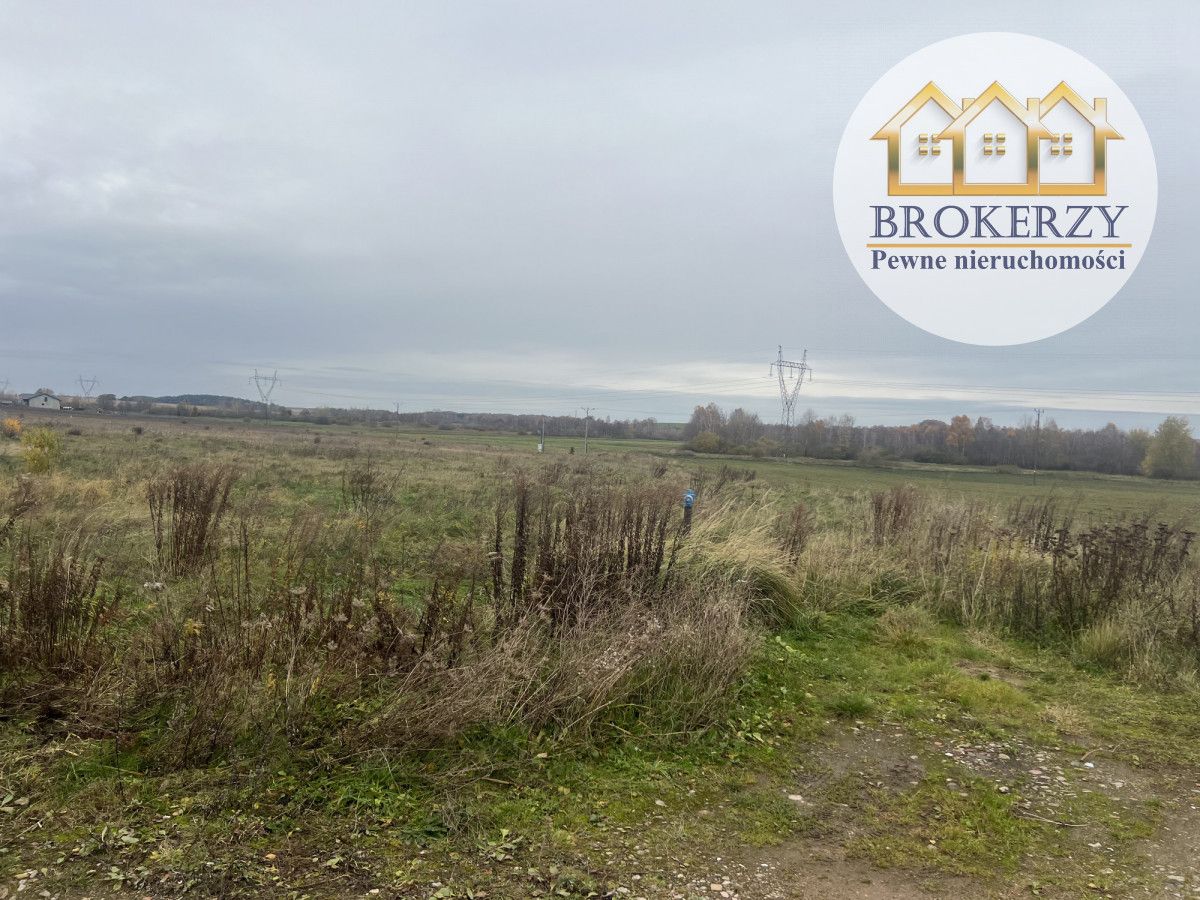 Działka rolna Cewlino. Zdjęcie 2