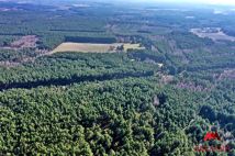 Działka leśna Bobrownickie Pole. Zdjęcie 4