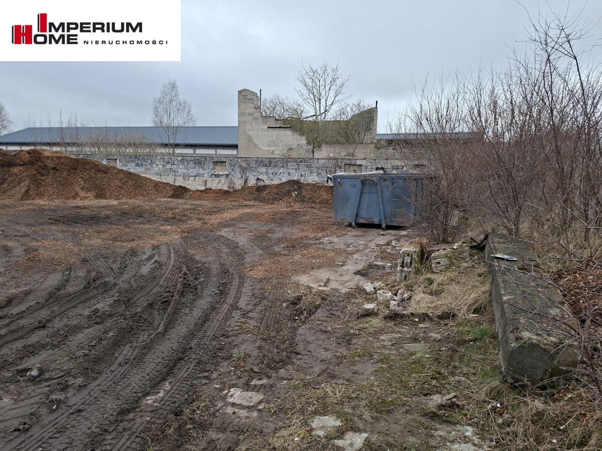 Działka inwestycyjna Chmielno, ul. Jesionowa. Zdjęcie 7