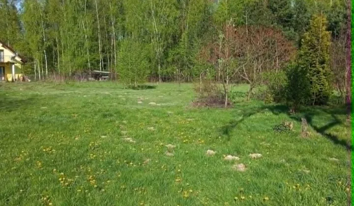 Działka rolno-budowlana Zimnice