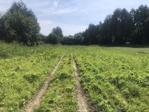 Działka rolna Łubna-Jakusy. Zdjęcie 3