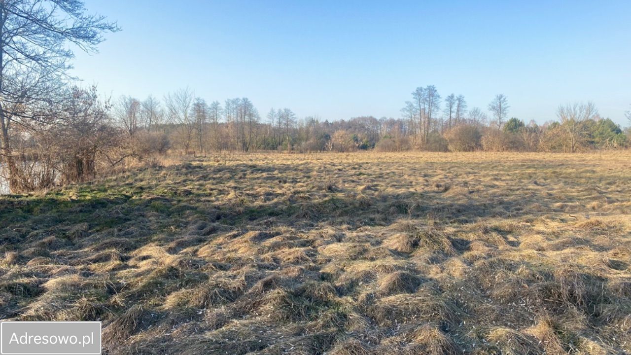 Działka siedliskowa Dobrzyniec. Zdjęcie 14