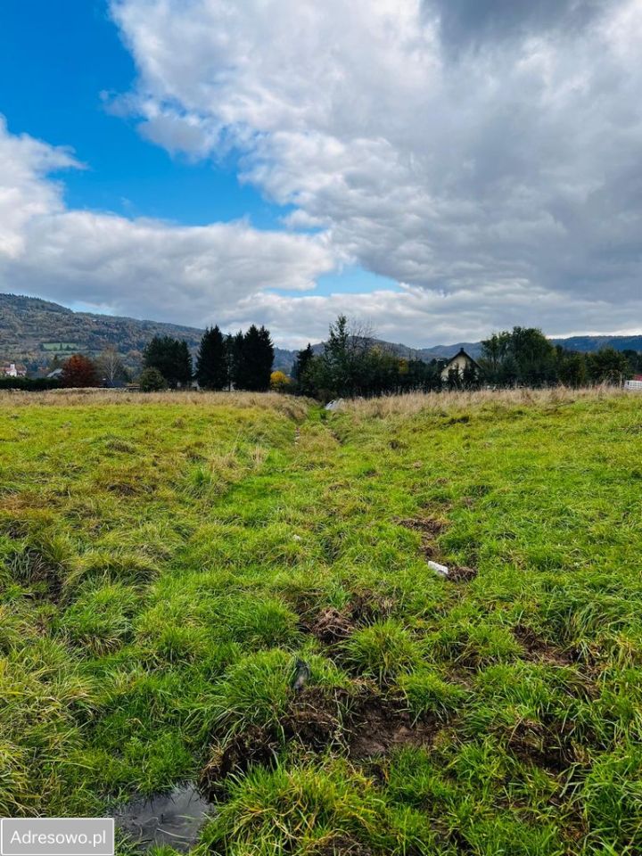 Działka budowlana Grzechynia Grzechynia Dolna. Zdjęcie 12