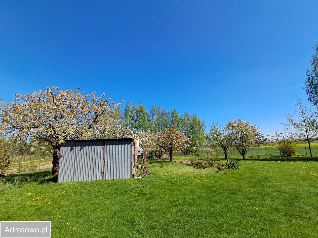 Działka budowlana Bogucin. Zdjęcie 18