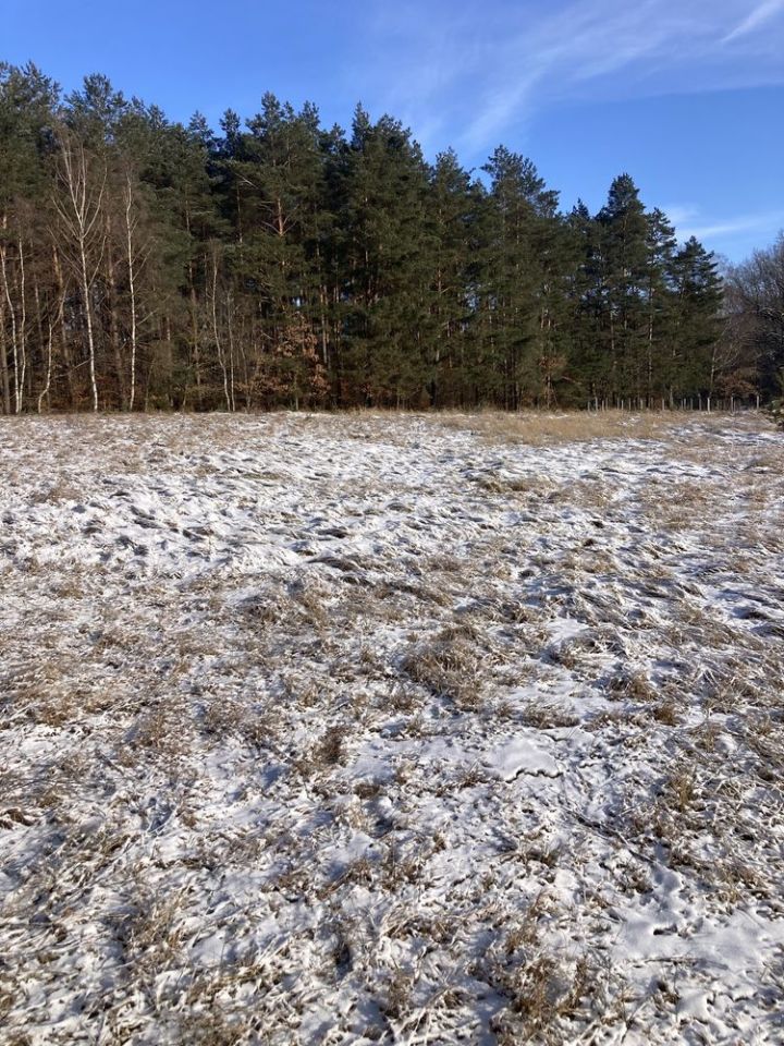 Działka budowlana Łośno, ul. Leśna. Zdjęcie 5