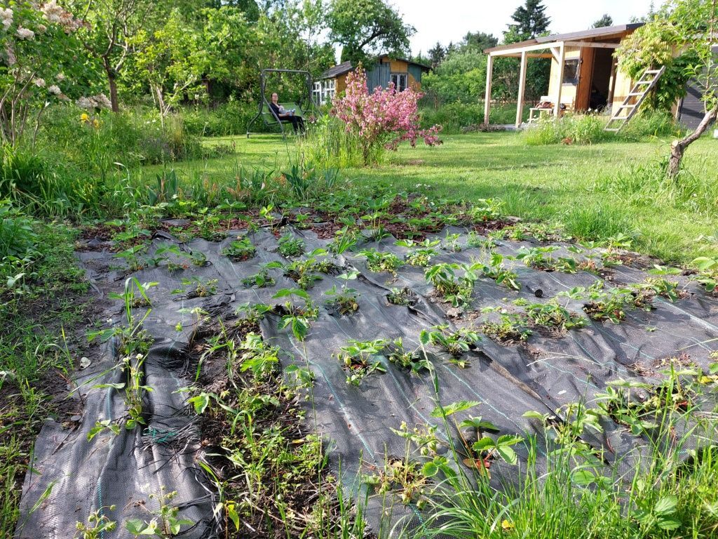 Działka rod Warszawa Mokotów. Zdjęcie 2