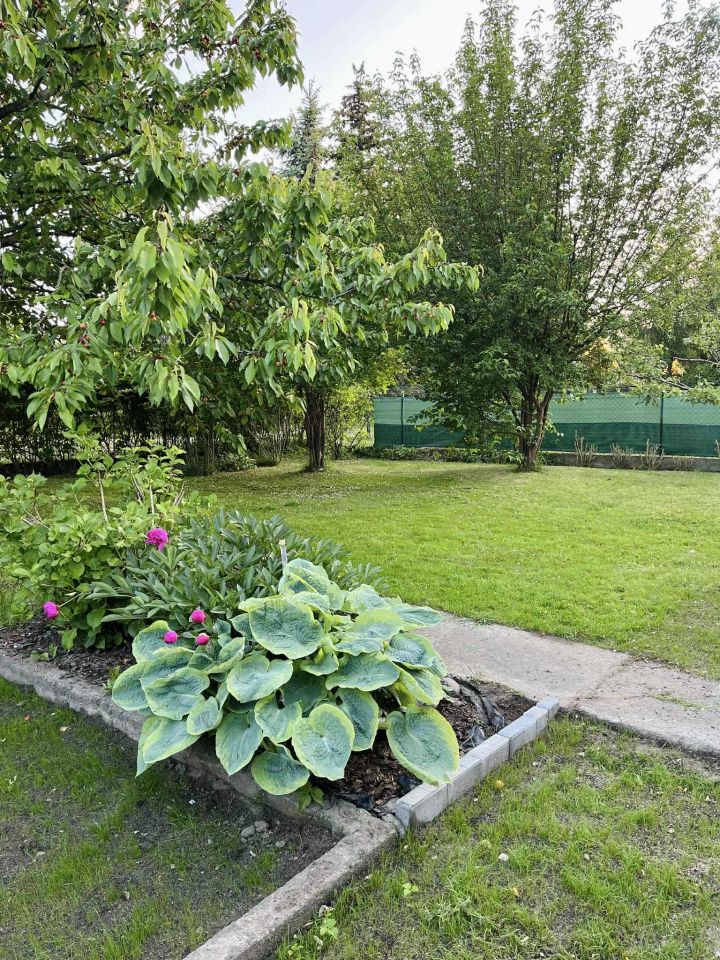 Działka rod Gdańsk Jasień, ul. Gronostajowa. Zdjęcie 9