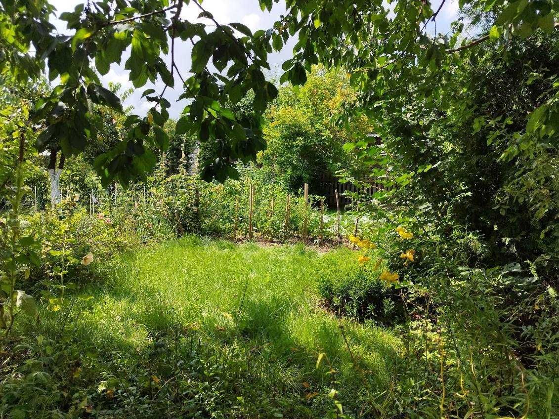 Działka rod Suwałki. Zdjęcie 6