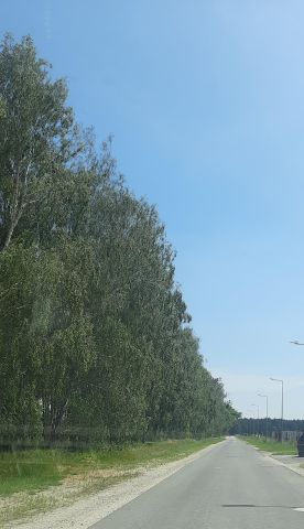 Działka budowlana Sadłogoszcz. Zdjęcie 1