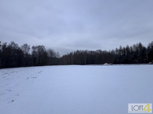 Działka rolno-budowlana Wojnicz. Zdjęcie 9