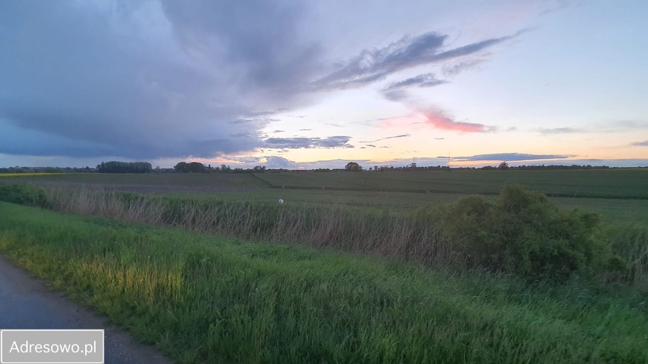 Działka rolna Pyrzyce, ul. Ciepłownicza. Zdjęcie 5