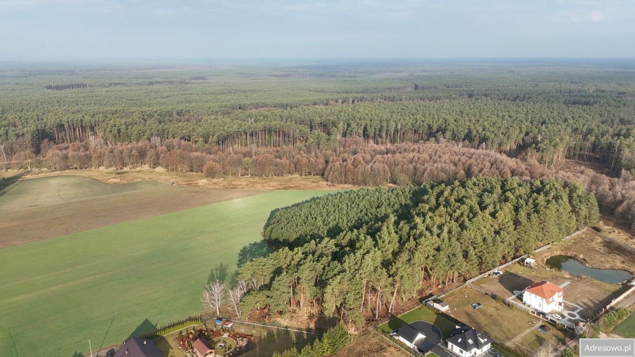 Działka budowlana Bolewicko. Zdjęcie 4