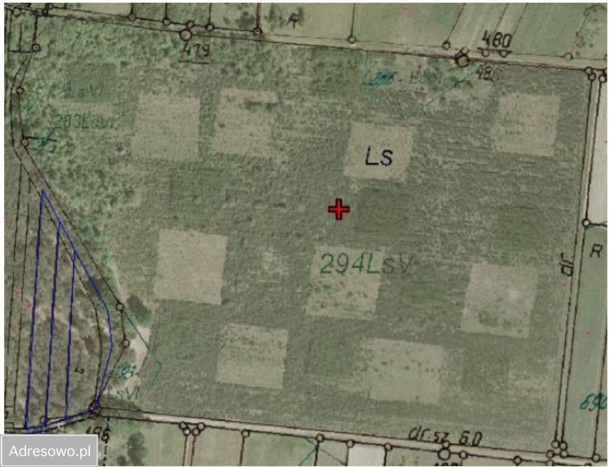 Działka leśna Bedlno. Zdjęcie 7