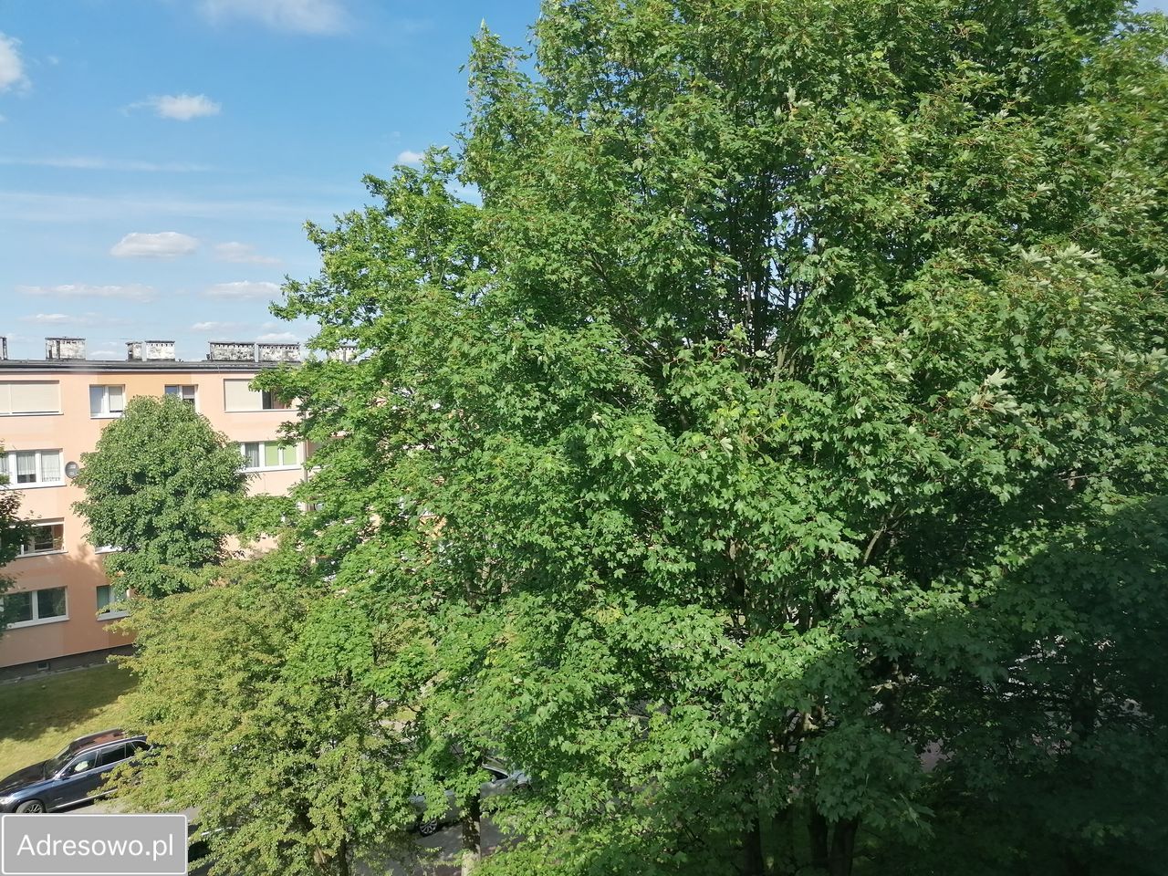 Mieszkanie 2-pokojowe Zgorzelec, ul. Mieczysława Karłowicza. Zdjęcie 14