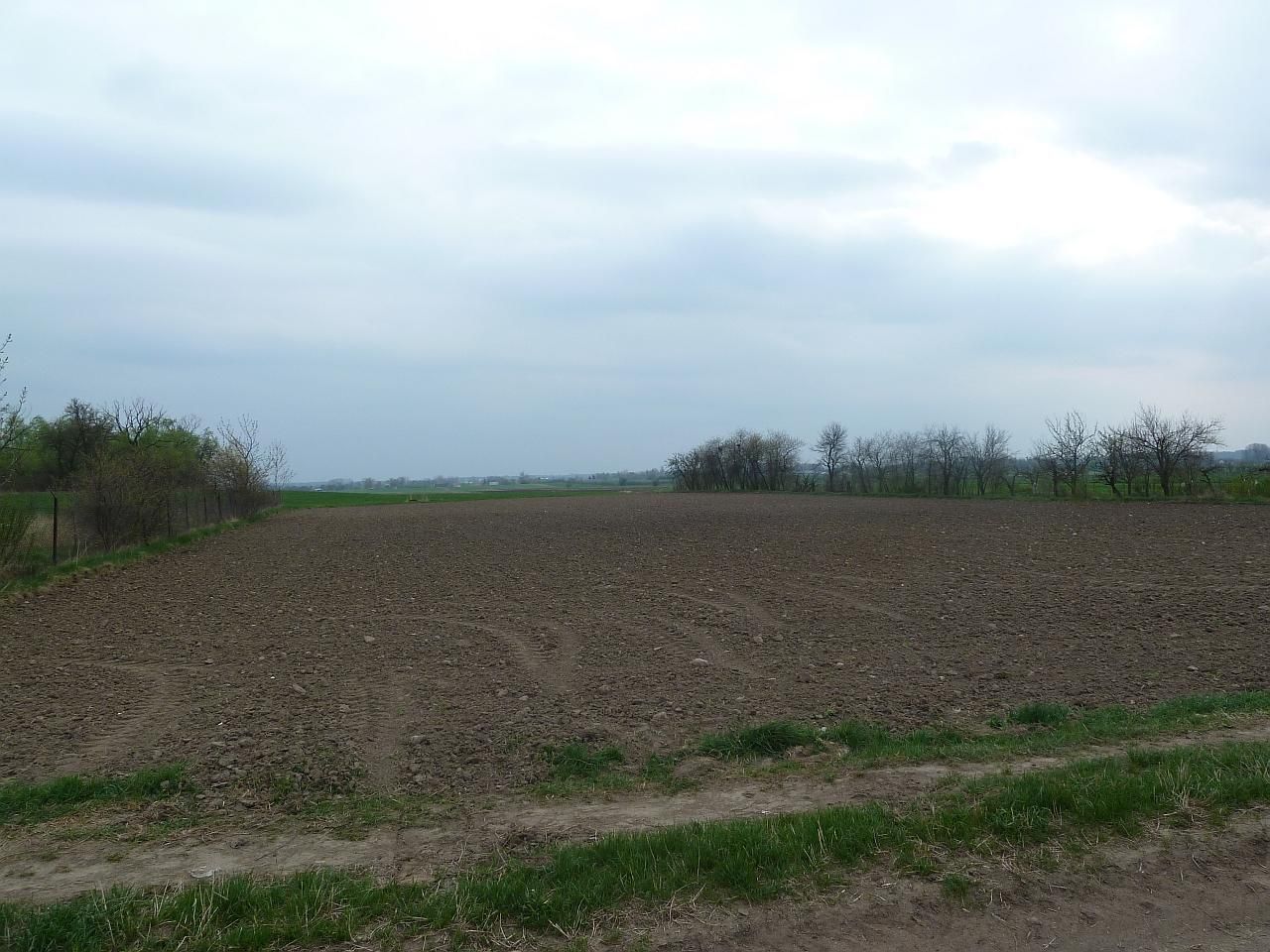 Działka rolno-budowlana Kacice. Zdjęcie 6