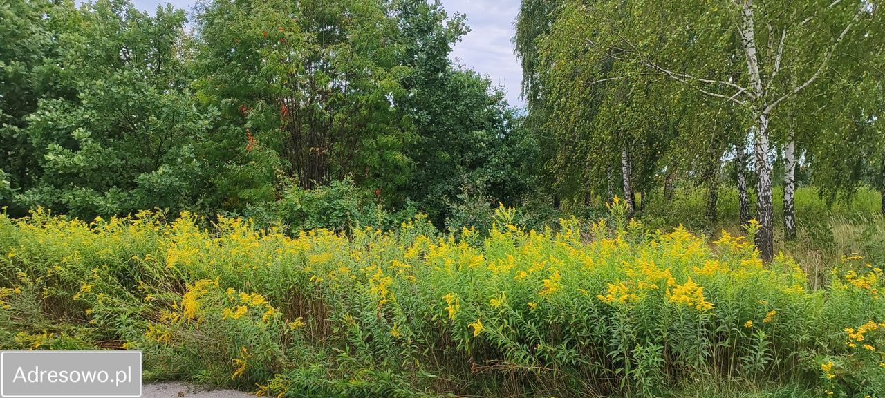 Działka inwestycyjna Warszawa Białołęka, ul. Małopolska. Zdjęcie 4