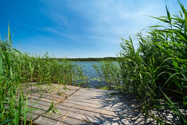dom wolnostojący, 3 pokoje Pilchy. Zdjęcie 5