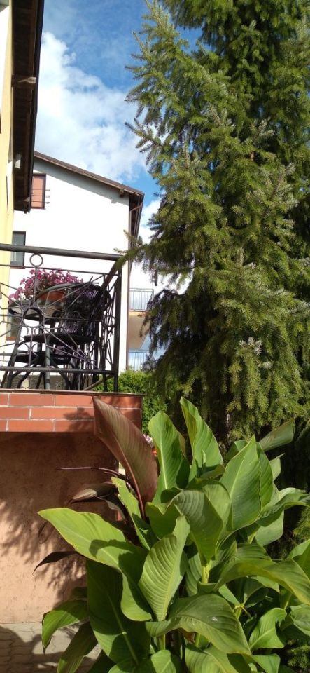 dom wolnostojący Brodnica. Zdjęcie 2