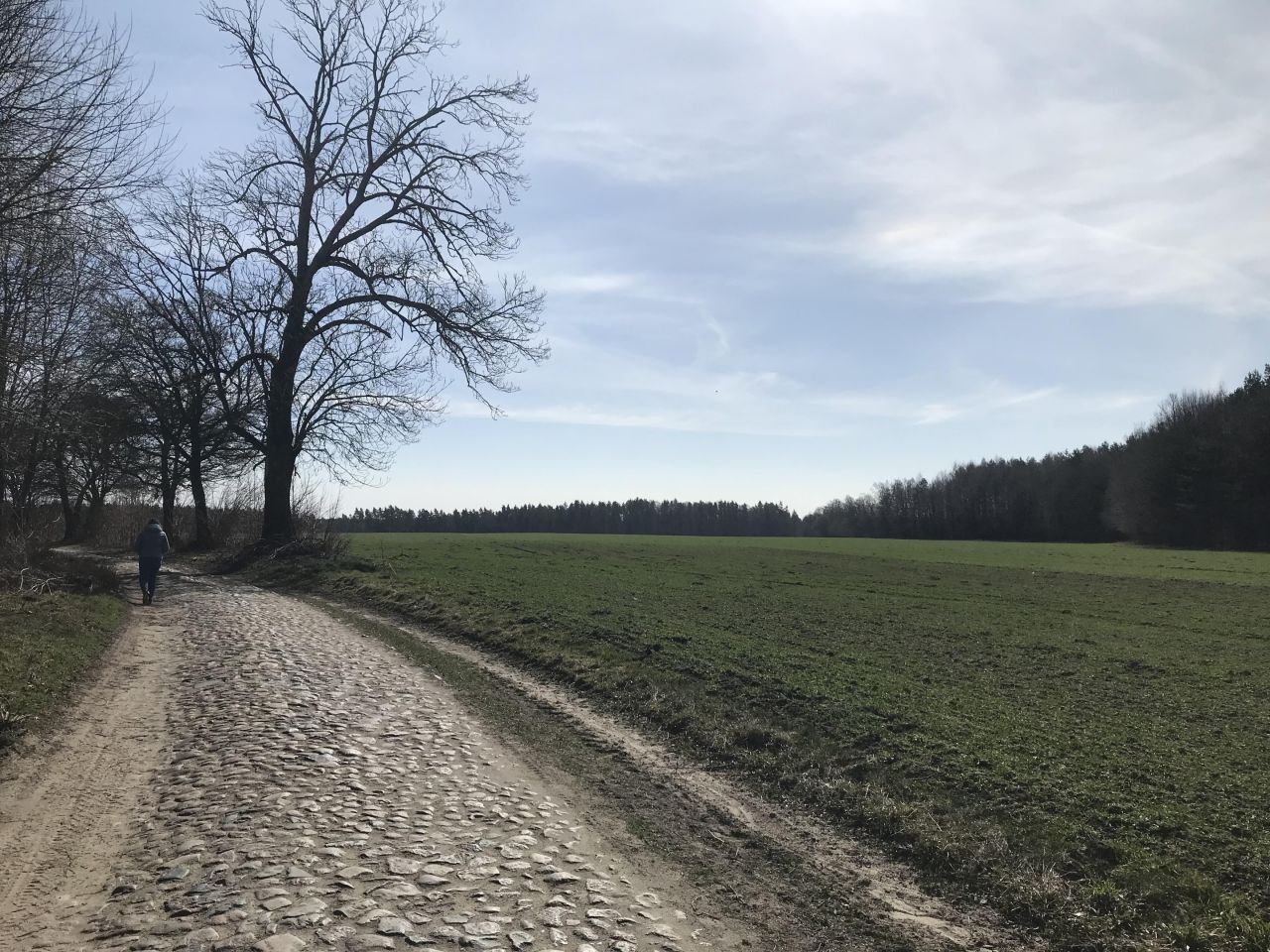 Działka rolna Dąbrówno. Zdjęcie 7