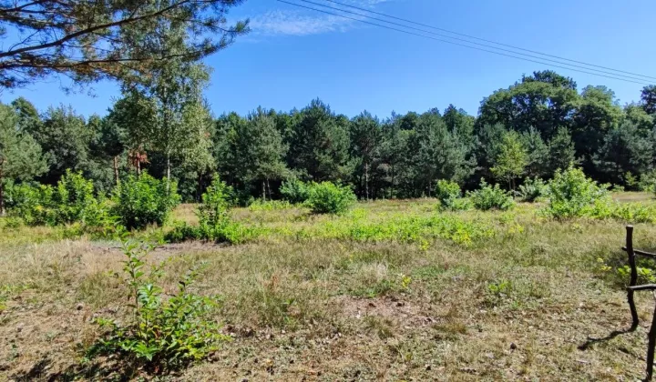 Działka budowlana Skoki