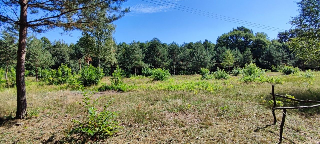 Działka budowlana Skoki