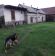 bliźniak Nowe Budy. Zdjęcie 2
